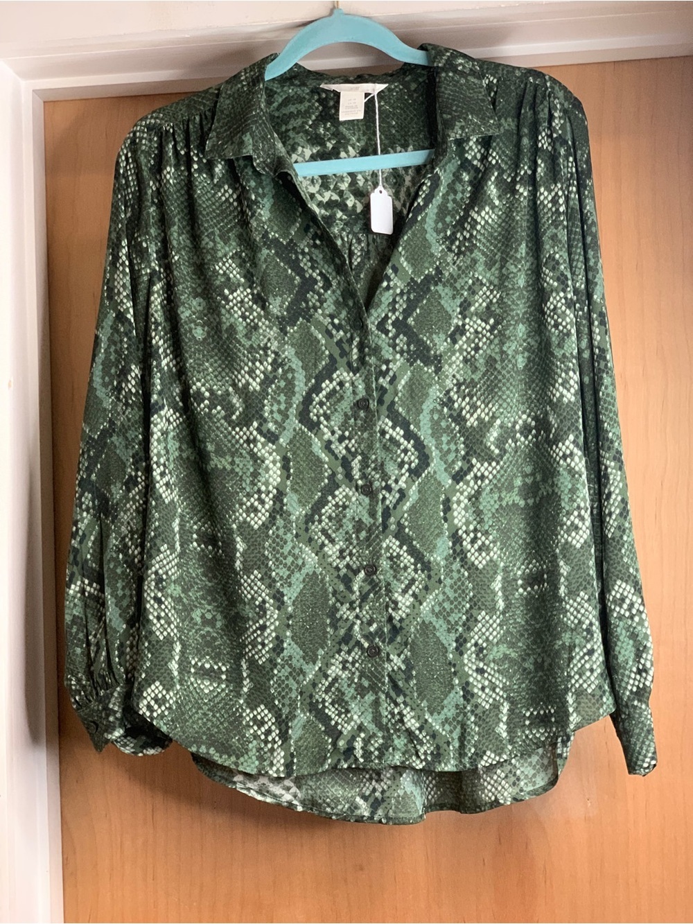 H+M Green Snake-Print Button-Front Long Sleeve Blouse Size-10 Rockstar Boho